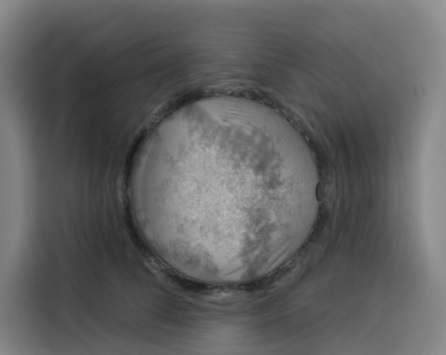 X0000113530708200910021329