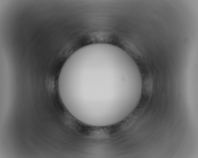 X0000113530709200910021329