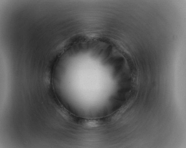 X0000113530710200910021329