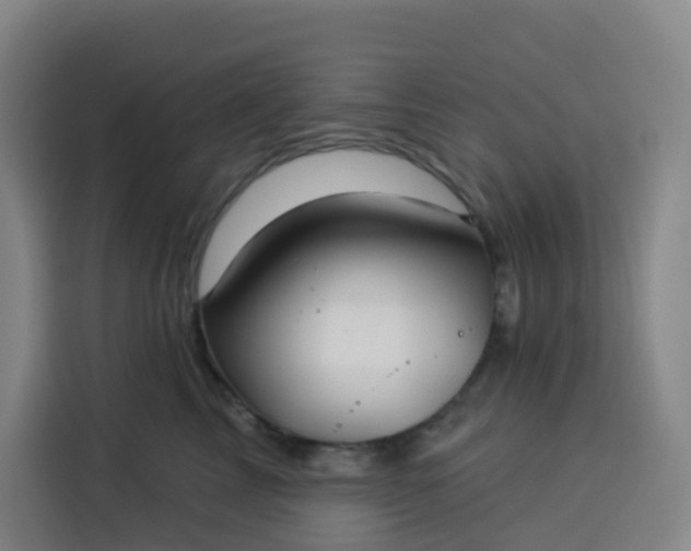 X0000113530713200910021329