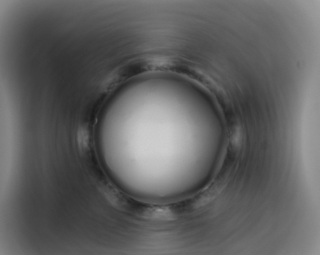 X0000113530715200910021329