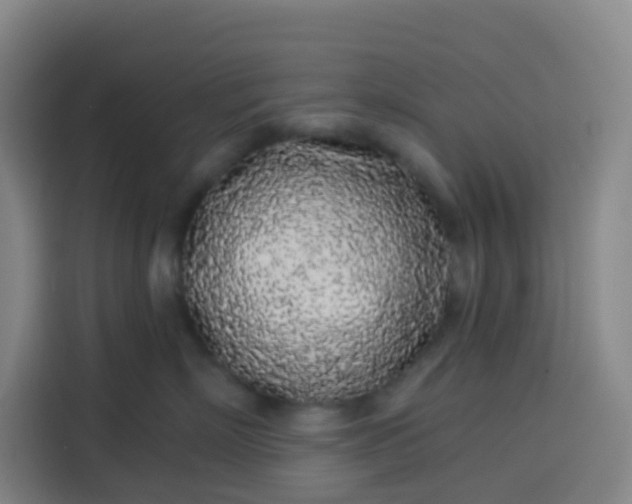 X0000113530718200910021329