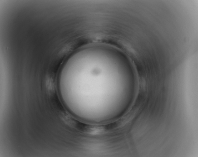 X0000113530719200910021329