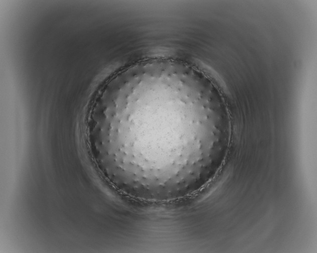 X0000113530721200910021329