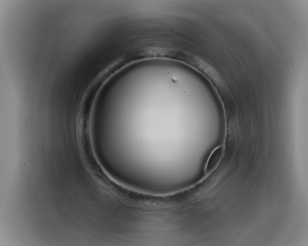 X0000113530722200910021329