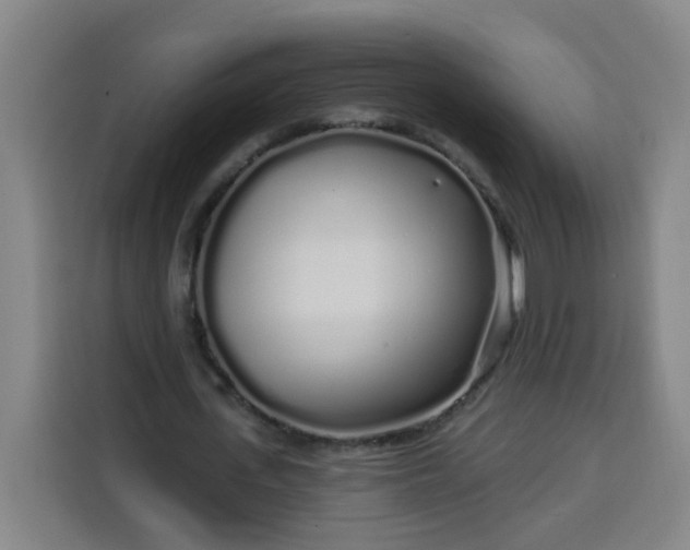 X0000113530723200910021329