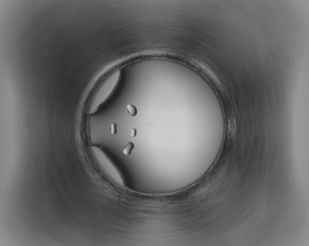 X0000113530724200910021329