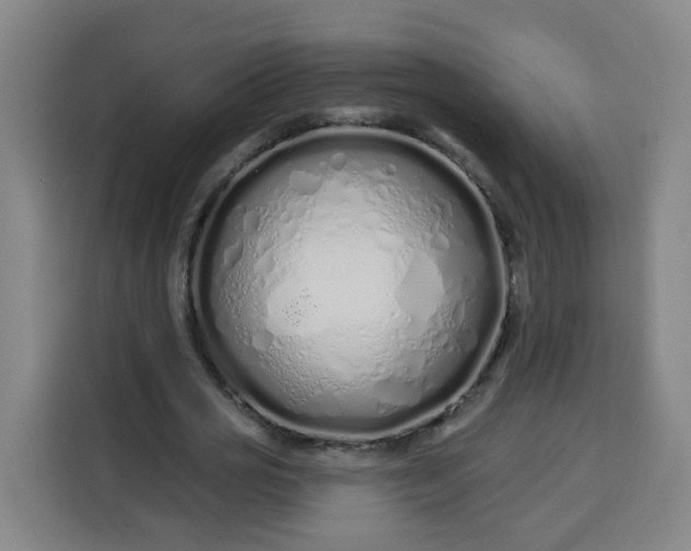 X0000113530725200910021329