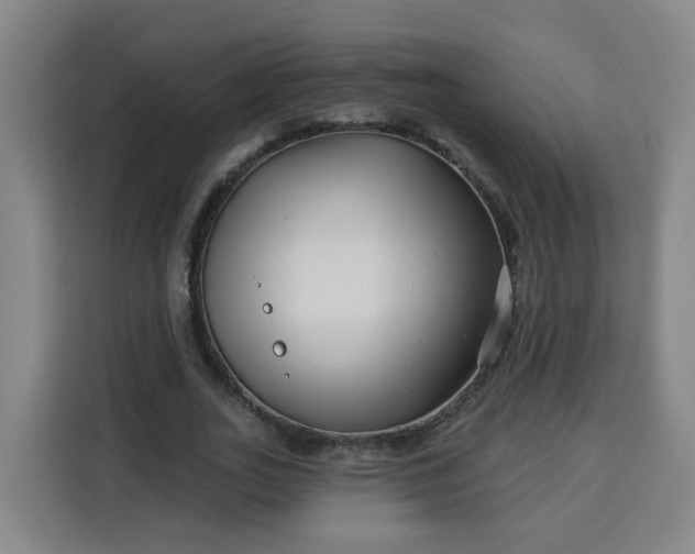 X0000113530727200910021329