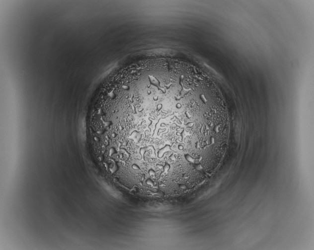 X0000113530729200910021329