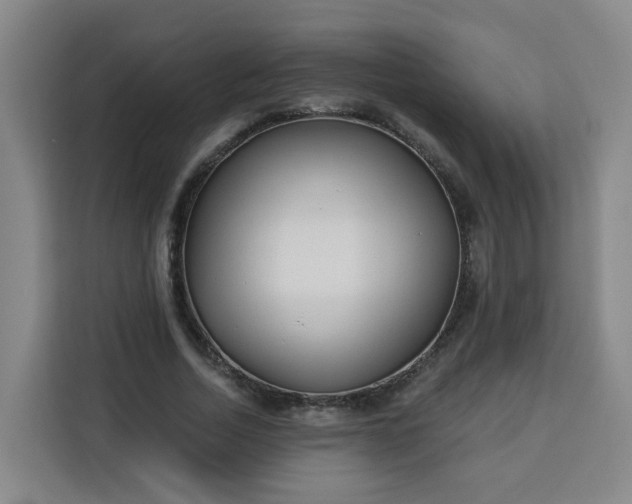 X0000113530730200910021329