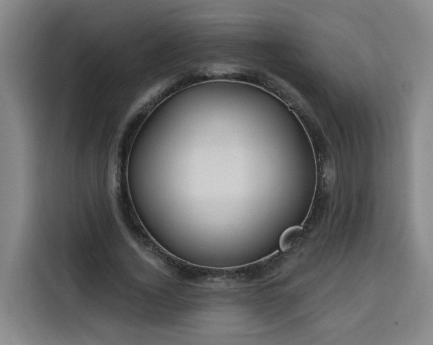 X0000113530732200910021329