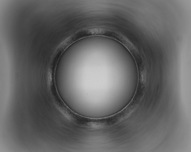 X0000113530733200910021329