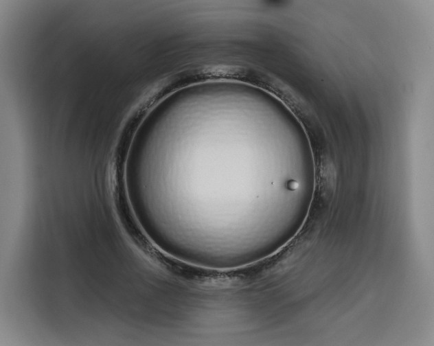 X0000113530734200910021329