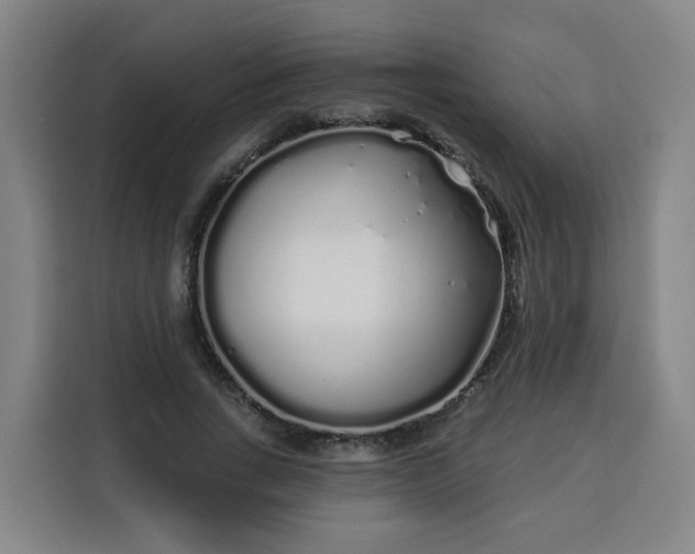 X0000113530735200910021329