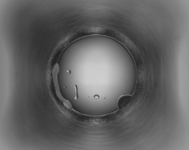 X0000113530736200910021329