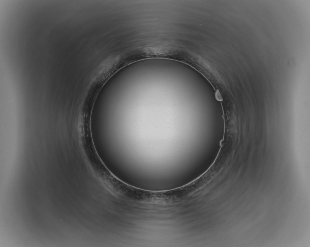 X0000113530738200910021329