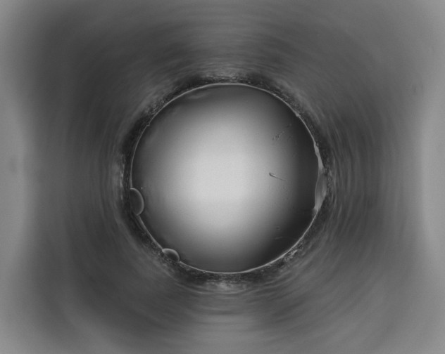 X0000113530739200910021329