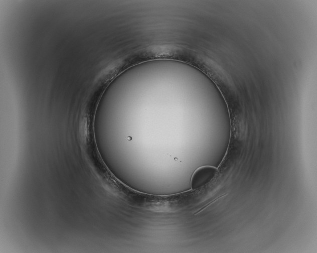 X0000113530740200910021329