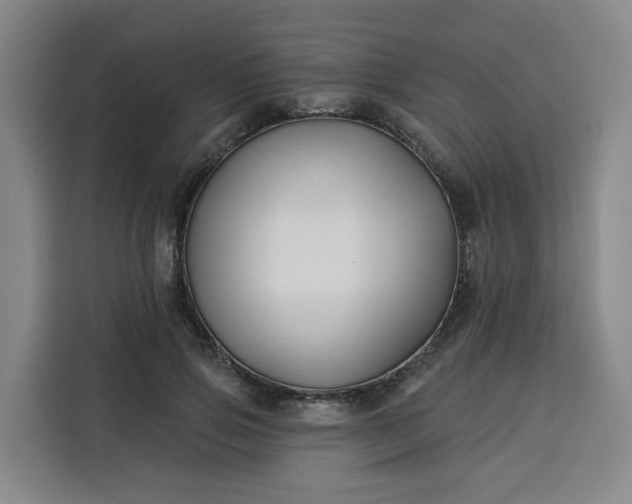 X0000113530741200910021329