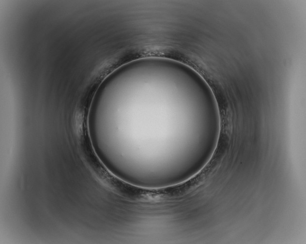 X0000113530742200910021329