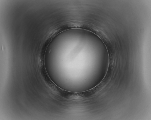 X0000113530743200910021329