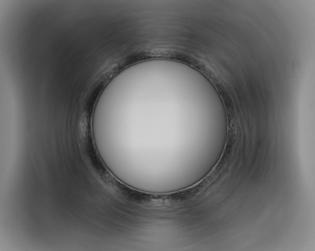 X0000113530744200910021329