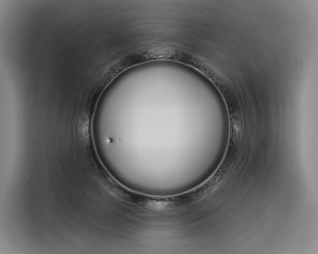 X0000113530745200910021329