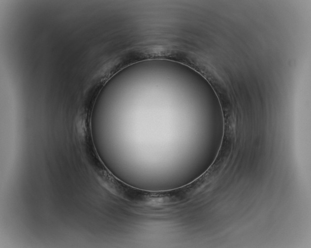 X0000113530746200910021329