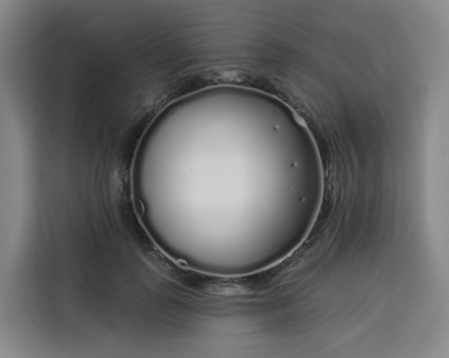 X0000113530747200910021329