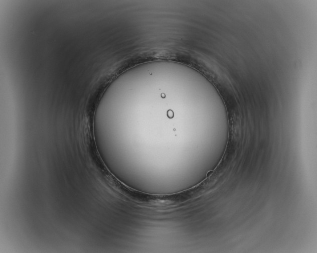 X0000113530748200910021329