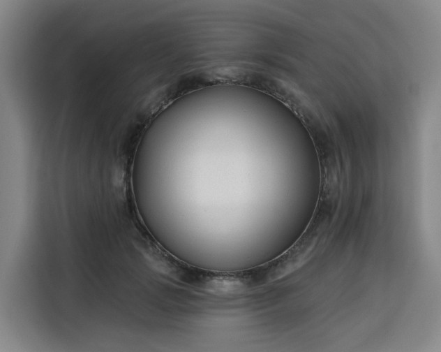 X0000113530749200910021329