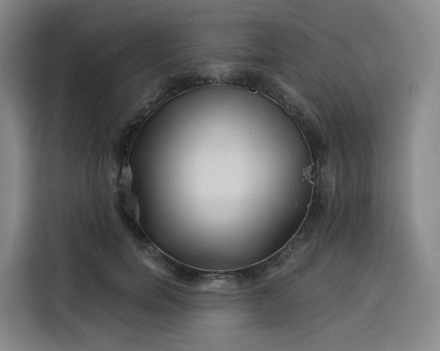 X0000113530750200910021329