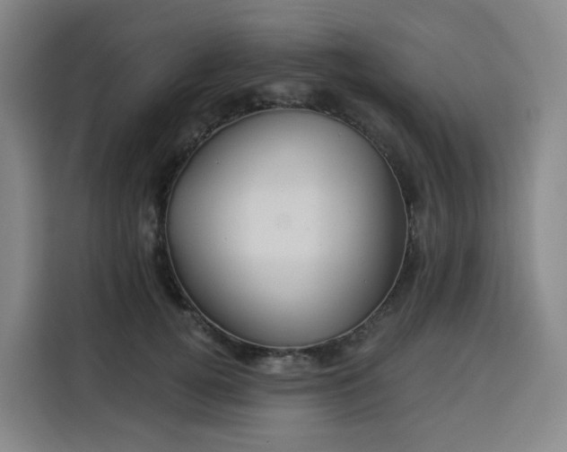 X0000113530752200910021329