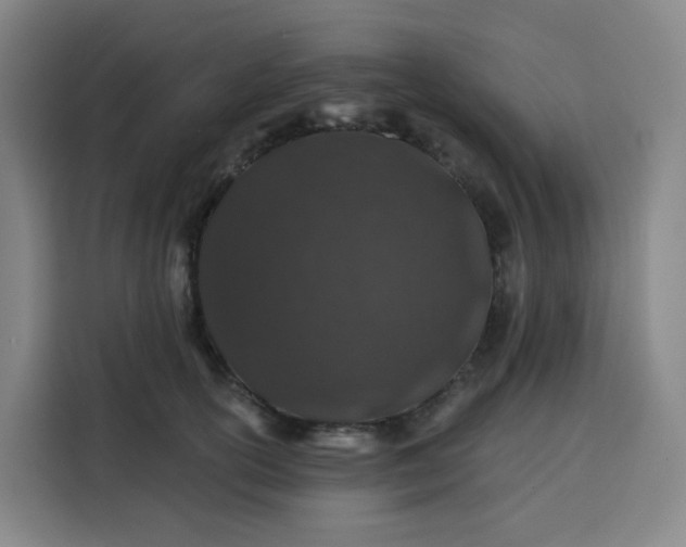 X0000113530754200910021329