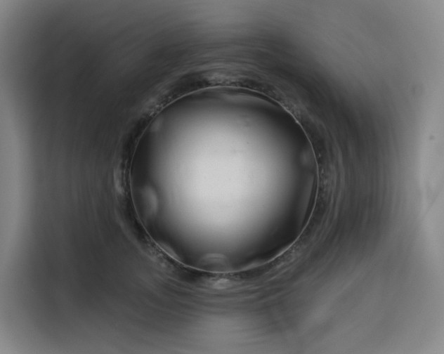 X0000113530755200910021329