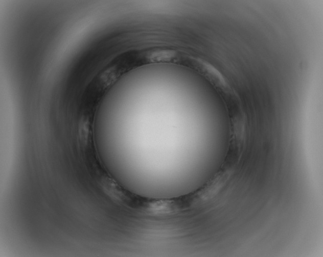 X0000113530761200910021329