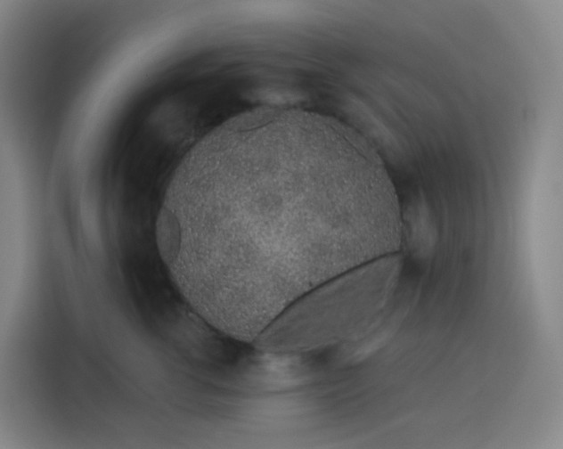 X0000113530762200910021329