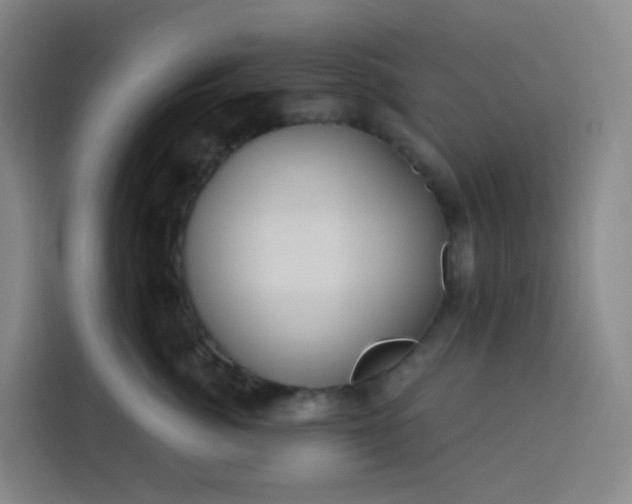 X0000113530764200910021329