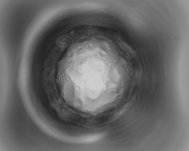 X0000113530765200910021329