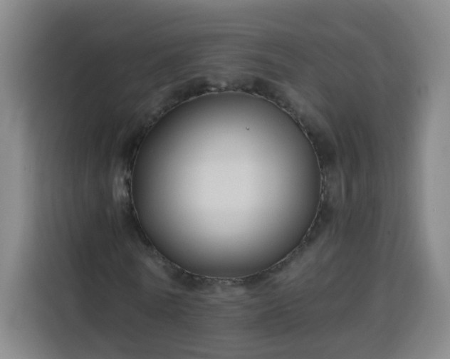 X0000113530770200910021329