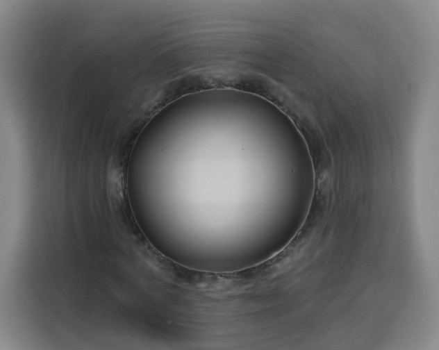 X0000113530772200910021329