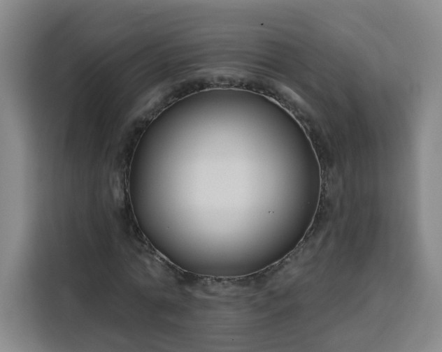 X0000113530774200910021329