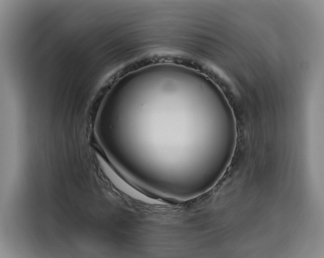 X0000113530775200910021329