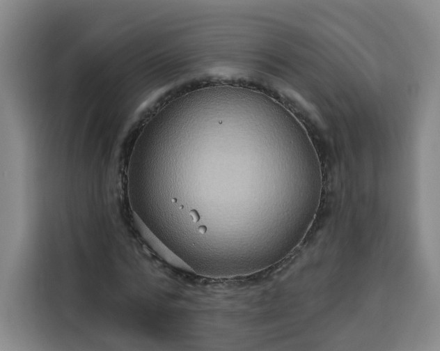 X0000113530776200910021329