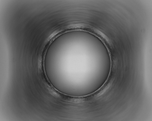 X0000113530778200910021329