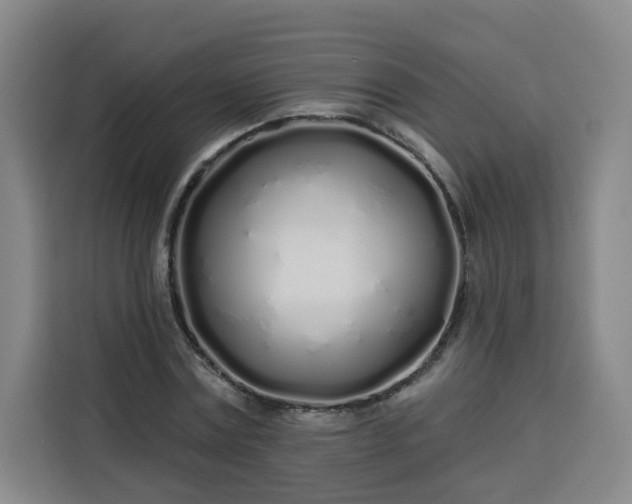 X0000113530779200910021329