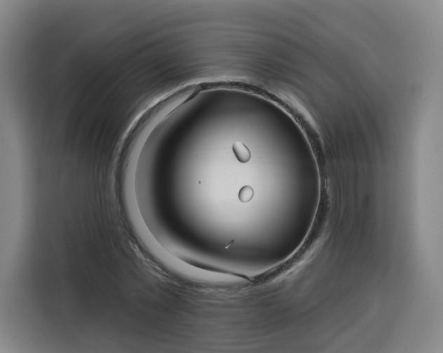 X0000113530781200910021328