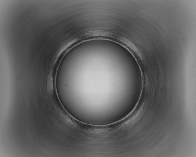 X0000113530782200910021328