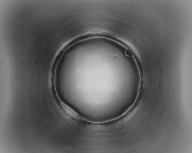 X0000113530783200910021328